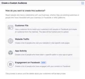 Custome audience facebook 2